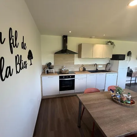 Au Fil De La Blies Bliesbruck